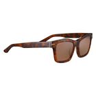 WINONA, Shiny Classic Havana-Mineral Polarized Drivers Cat 2 to 3, hi-res image number null